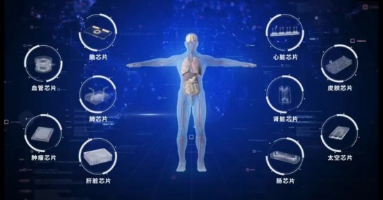 東南大學團隊牽頭完成中國首個器官芯片國家標準